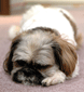 b0054283_19361078.gif