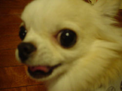 b0059000_18454034.jpg