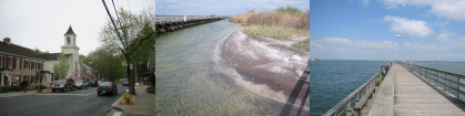d0014408_13315970.gif
