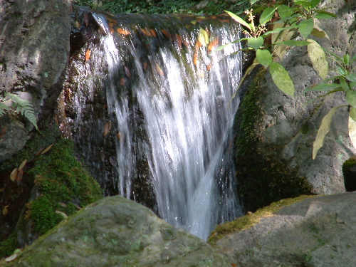 「山県有朋の別荘 無鄰庵」_a0000029_20163416.jpg