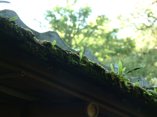 「山県有朋の別荘 無鄰庵」_a0000029_20213091.jpg