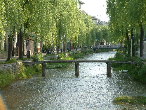 「京都旅行　早起きして白川～一本橋、三条大橋へ」_a0000029_20573578.jpg