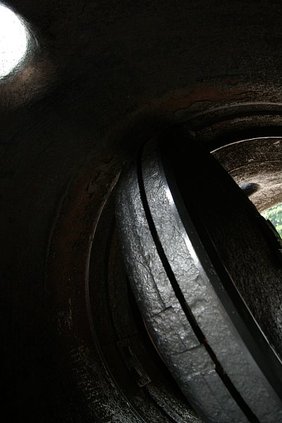 a0030792_1432938.jpg