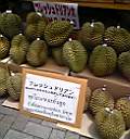 c0027700_2042756.jpg