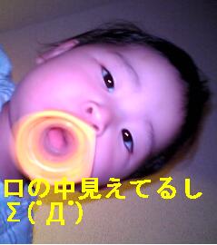 d0022107_7361894.jpg