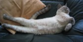 道案内_c0006826_7272153.jpg