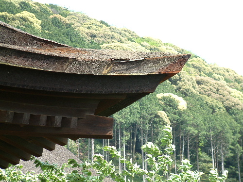 「京都旅行 清水寺」_a0000029_2350386.jpg