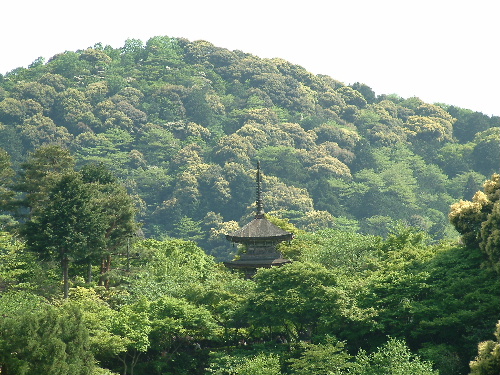 「京都旅行 清水寺」_a0000029_2353624.jpg