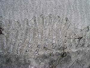 c0019338_20374581.jpg