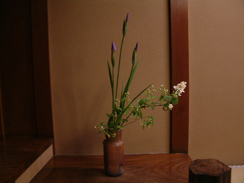 「京都旅行 菊乃井で夕食 お店の様子」_a0000029_13304426.jpg