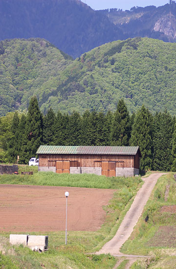c0054876_720347.jpg