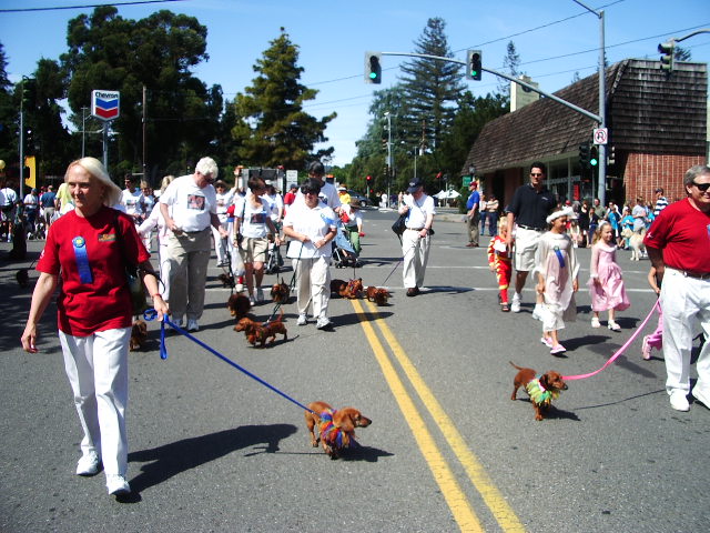 Los Altos Pet Parade_c0008486_7493062.jpg