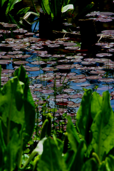 c0044720_2292943.jpg