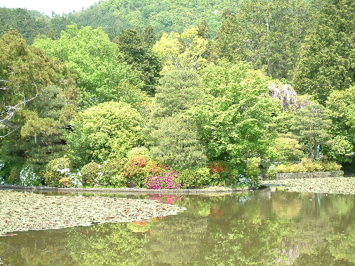 「京都旅行　龍安寺」_a0000029_18111919.jpg