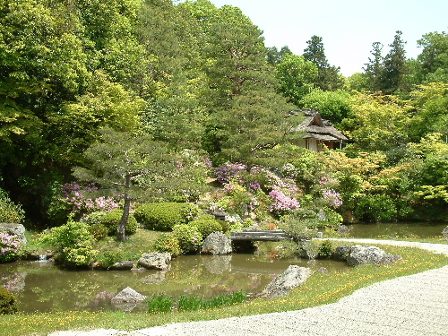 「京都旅行 仁和寺」_a0000029_18184184.jpg