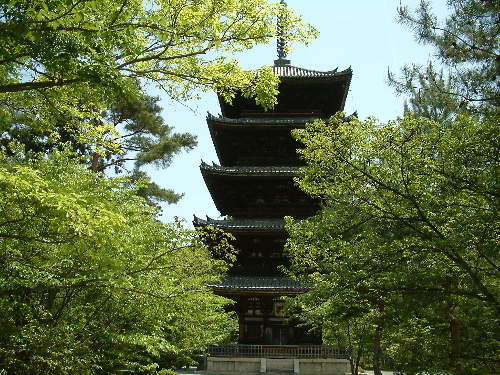 「京都旅行 仁和寺」_a0000029_18193886.jpg