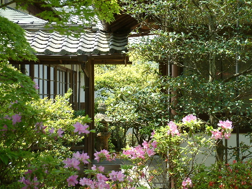 「京都旅行 仁和寺」_a0000029_18195134.jpg
