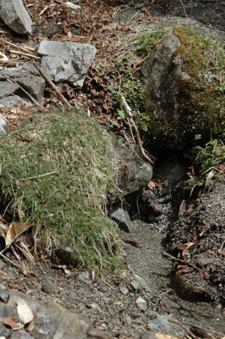 d0046031_21531.jpg