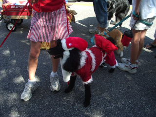 Los Altos Pet Parade_c0008486_3333544.jpg