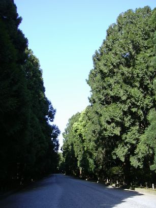 a0002195_23361390.jpg