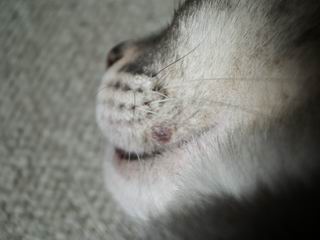 d0039312_23462171.jpg