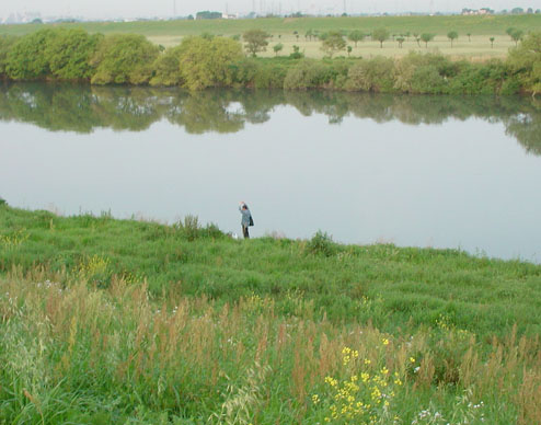 c0000718_17144273.jpg