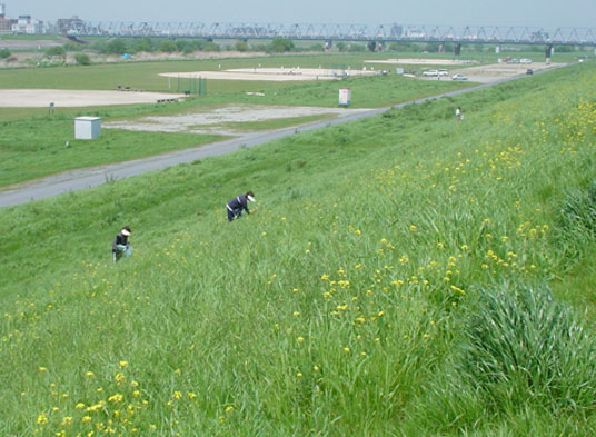 c0000718_17155831.jpg