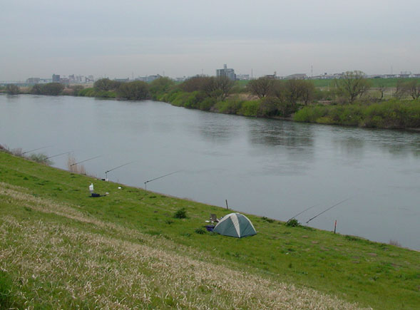 c0000718_17244654.jpg