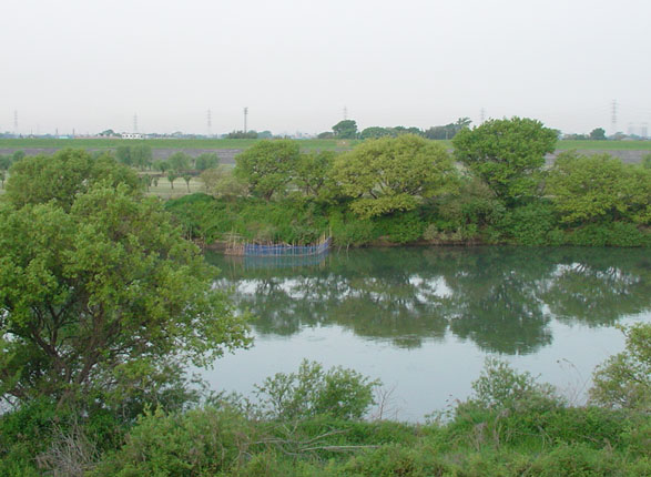 c0000718_17261996.jpg
