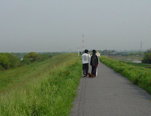 c0000718_17345084.jpg