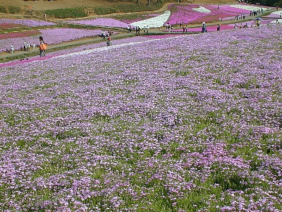 b0021251_14282988.jpg