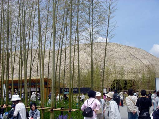 その2. pavillion_b0032564_22501993.jpg