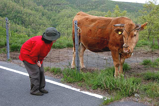 阿蘇路～阿蘇はイイナァ～♪_b0044567_4434451.jpg