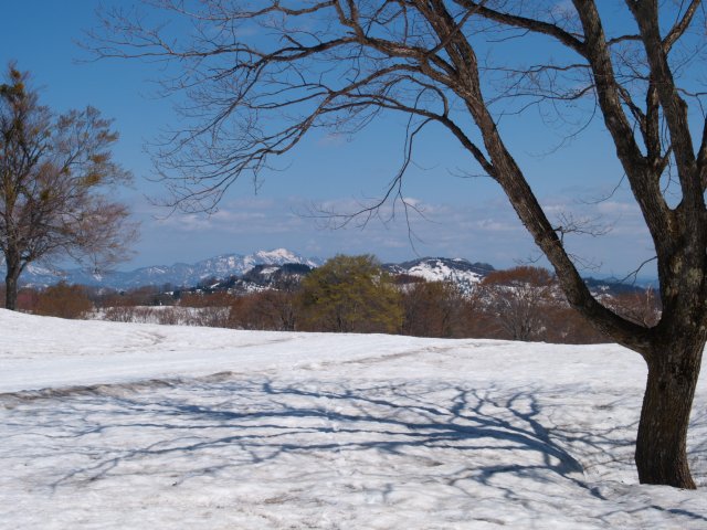 雪深き大厳寺高原　その4_a0025576_22225151.jpg