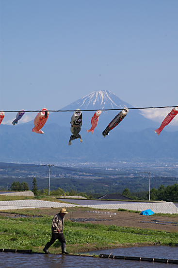 c0054876_64542.jpg
