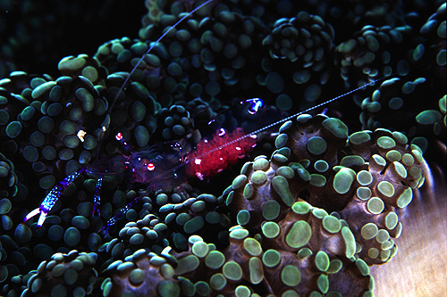 c0064907_14354122.jpg