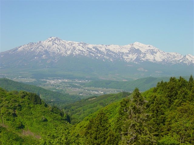 野山の緑は新鮮です。_d0039838_2234426.jpg