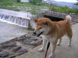 調子にのったらあかんけど。。。_c0049950_20131443.jpg
