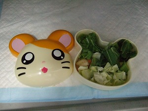 母の愛情弁当_b0059154_73864.jpg