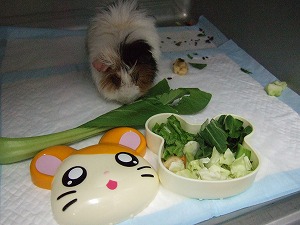 母の愛情弁当_b0059154_739057.jpg