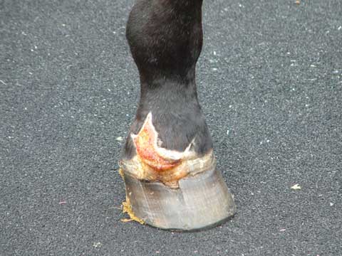 a0036685_22213431.jpg