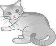b0001286_2248291.gif
