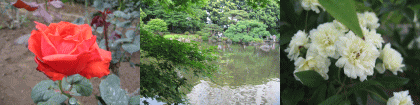 d0014408_100675.gif