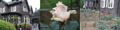 d0014408_9594766.gif