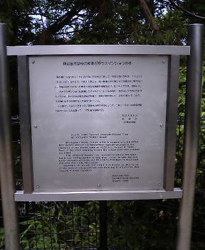 b0045709_1503716.jpg