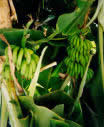 d0019913_1746497.jpg