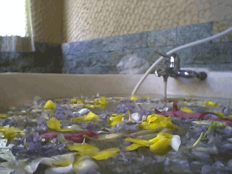 d0038319_1236949.gif