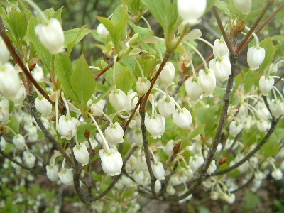 b0067569_11223333.jpg