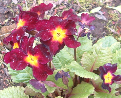 b0067569_11284029.jpg