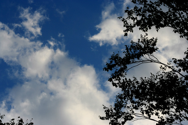c0030874_8585074.jpg